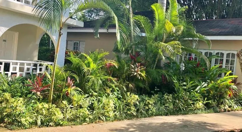 Gold Nugget Hotel Negril 3*,