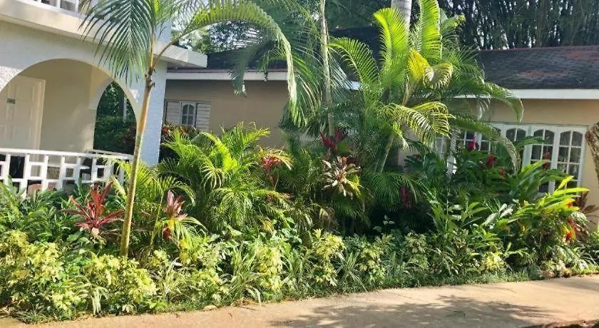 Gold Nugget Hotel Negril