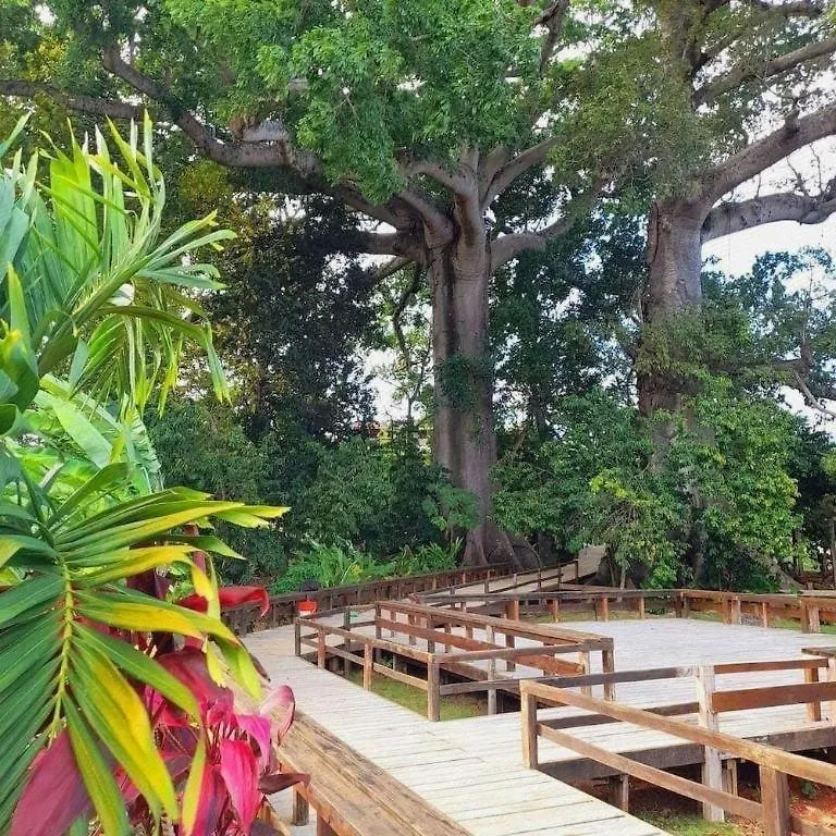 Gold Nugget Hotel Negril
