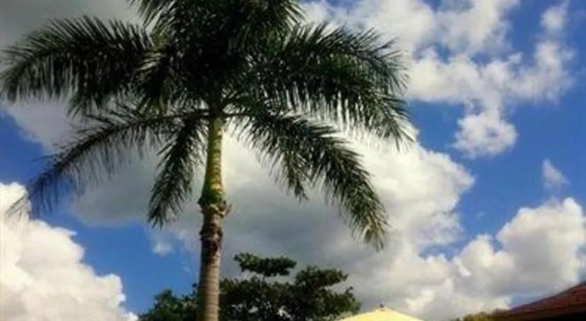 נגריל Gold Nugget Hotel